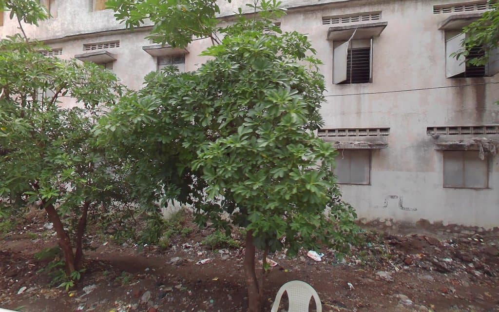 Axis Bank ATM