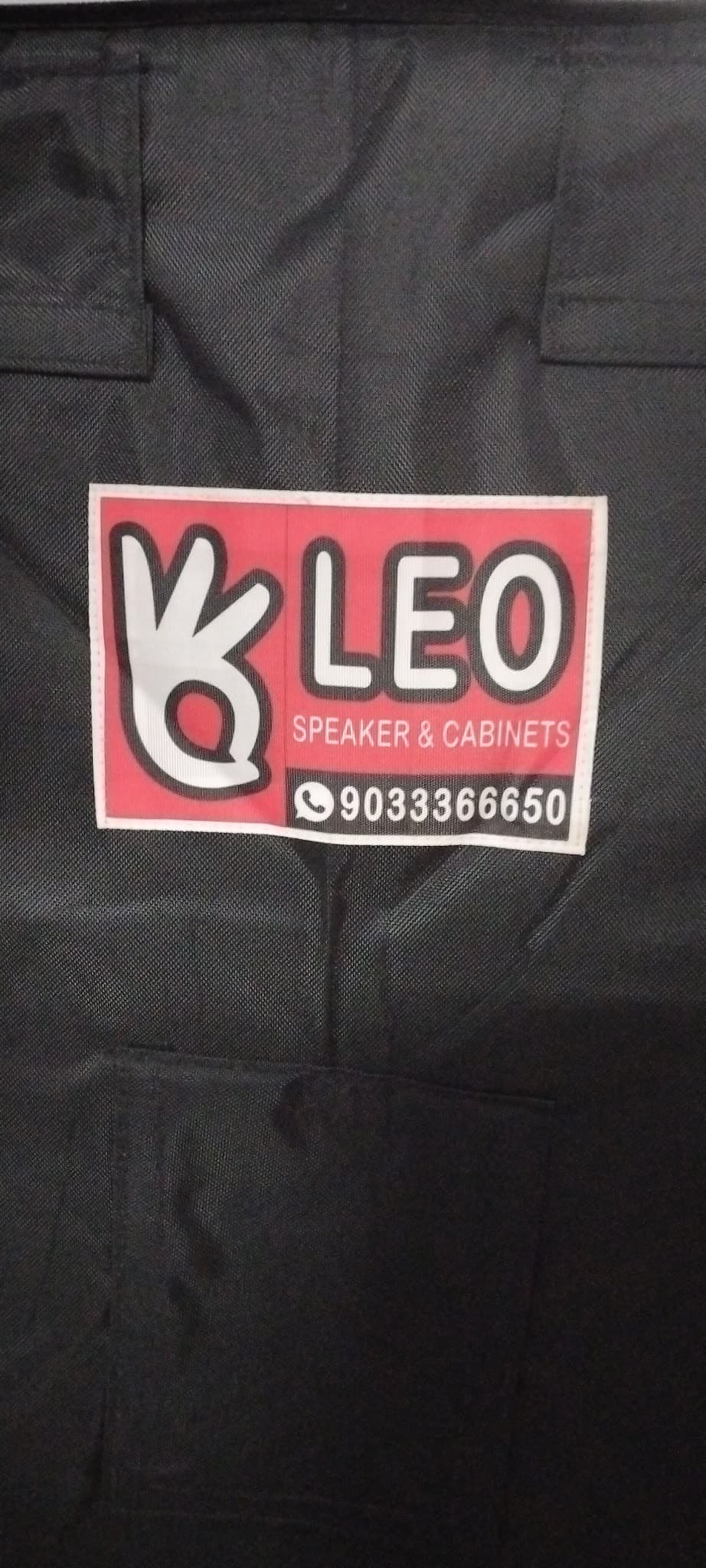 LEO