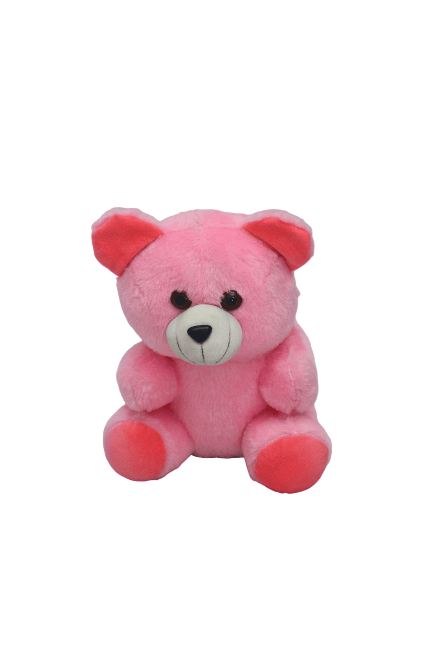 Shakti Toys