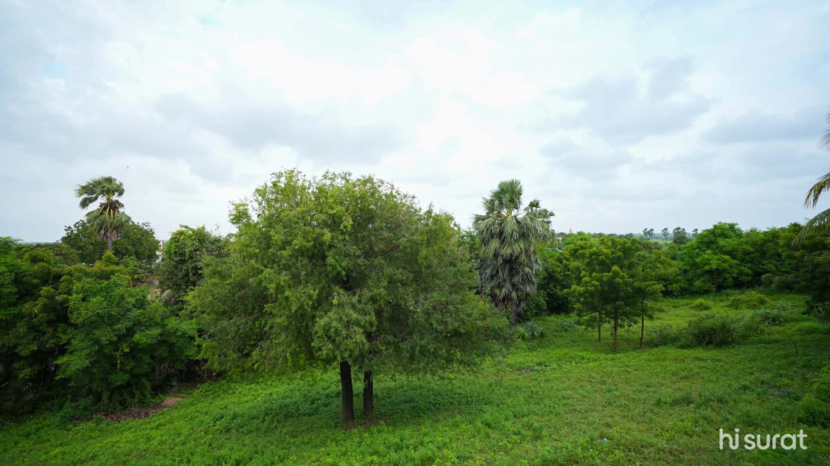 description