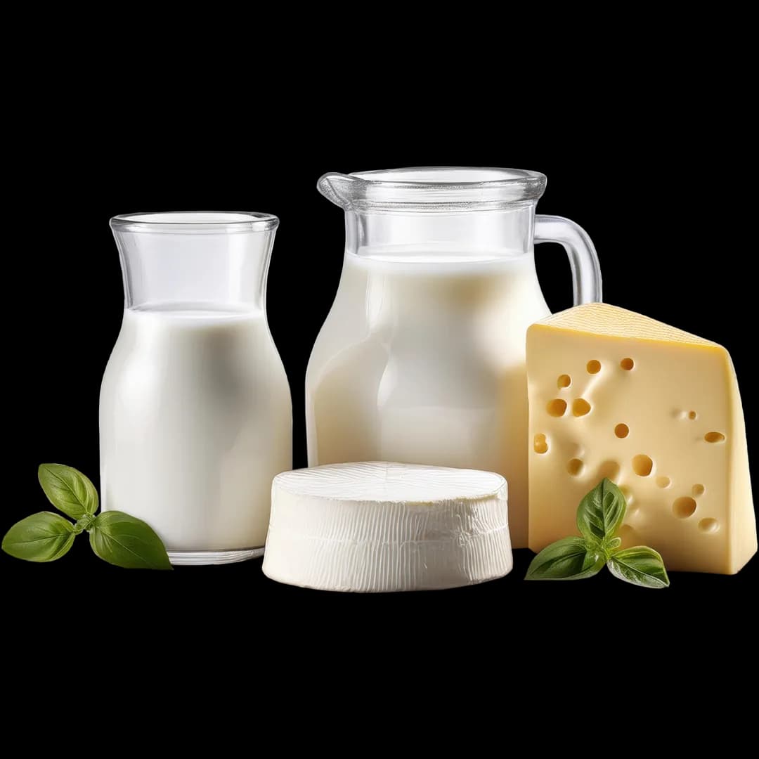 Dairy Product