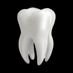 Dental Clinic
