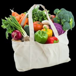 Food Wholesaler