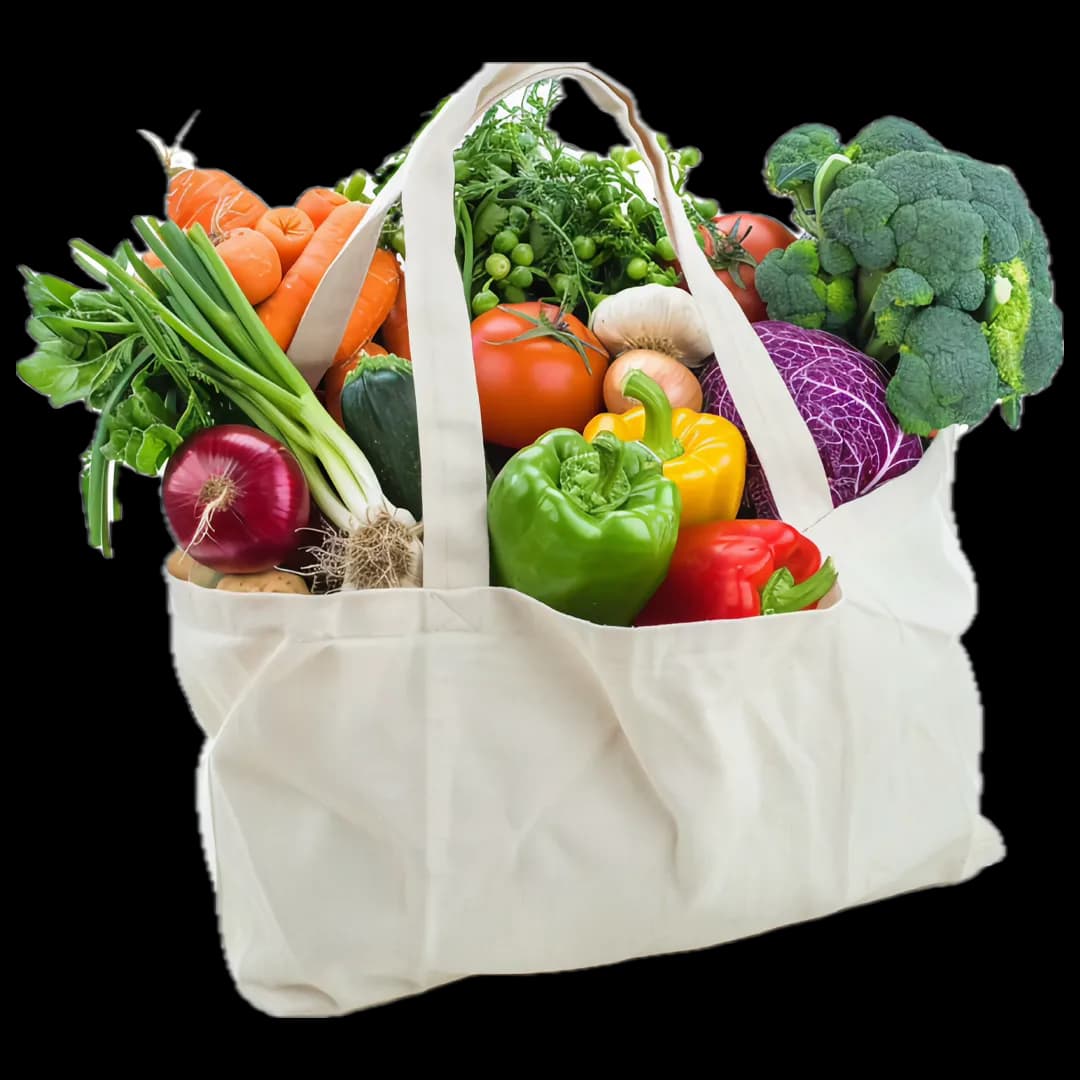 Food Wholesaler
