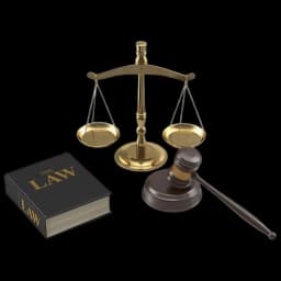 Legal Services & Consulting