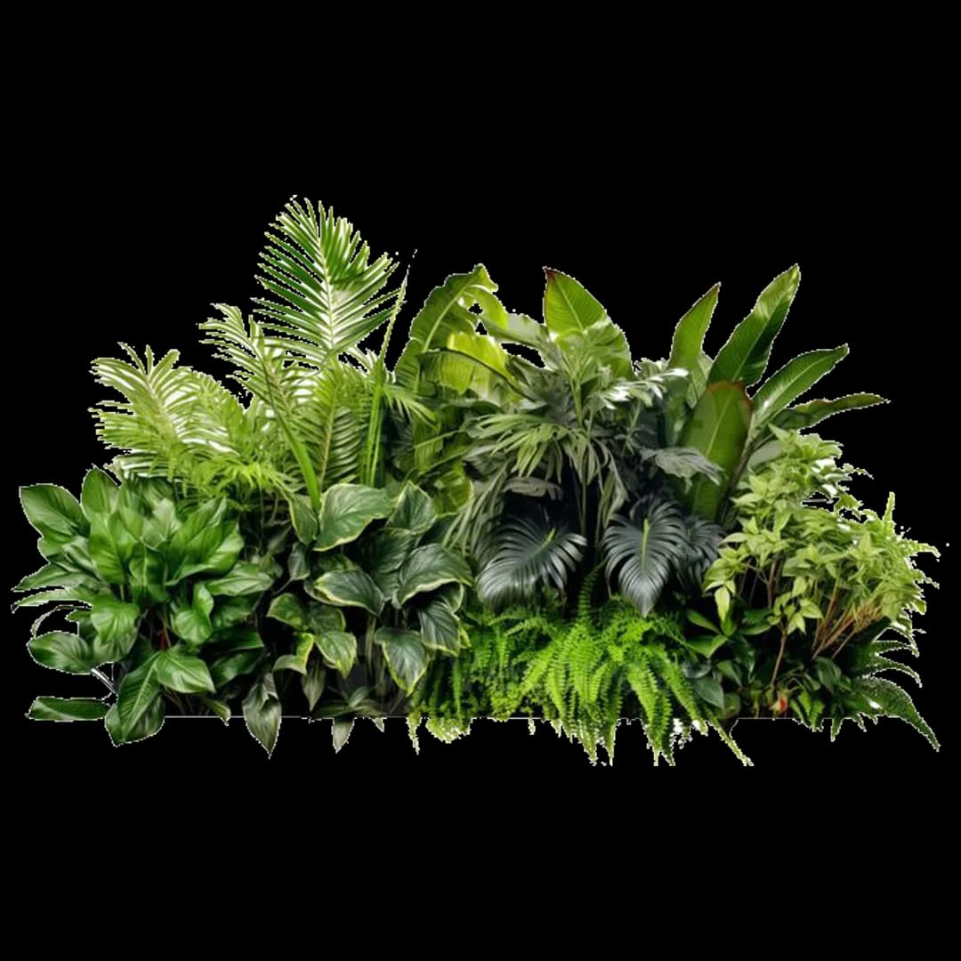Plant Nursery