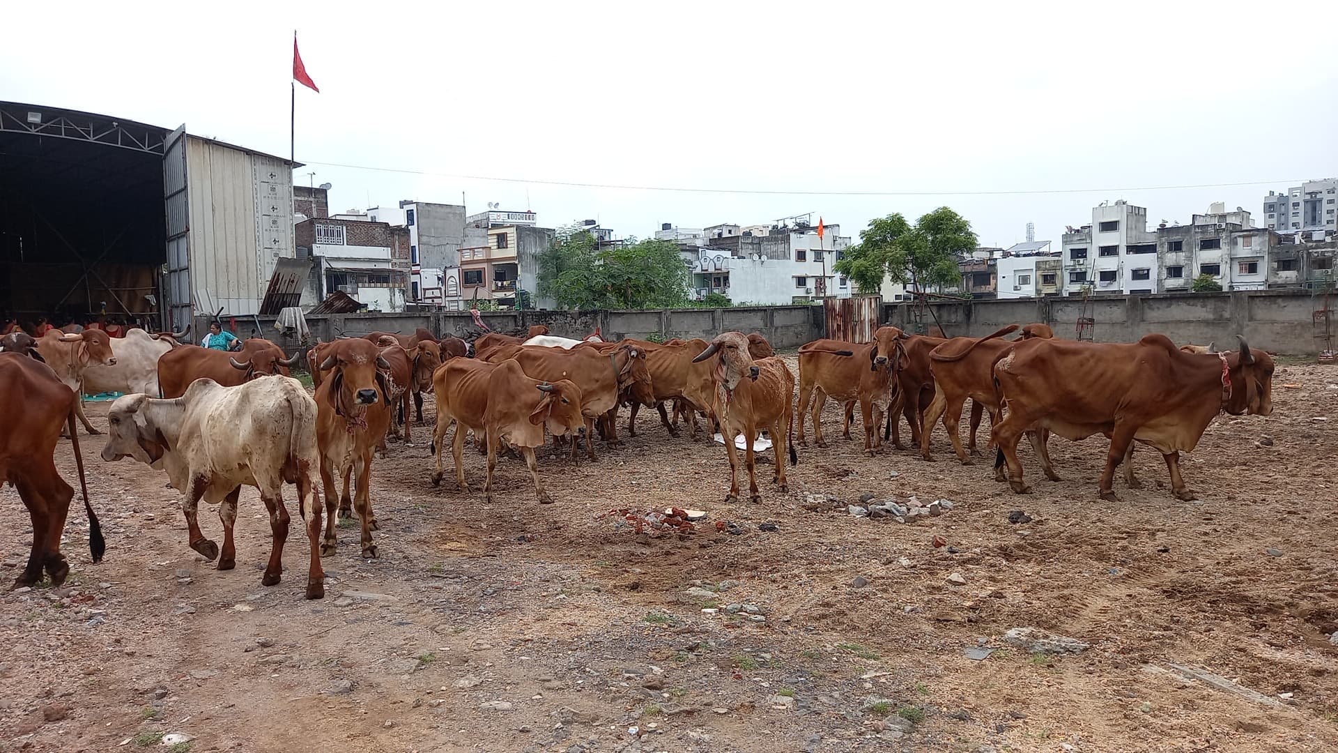 Akhil Bharatiy Shree Panch Ramanandi Khakhi Akhada Marutidham Ramjimandir Goushala