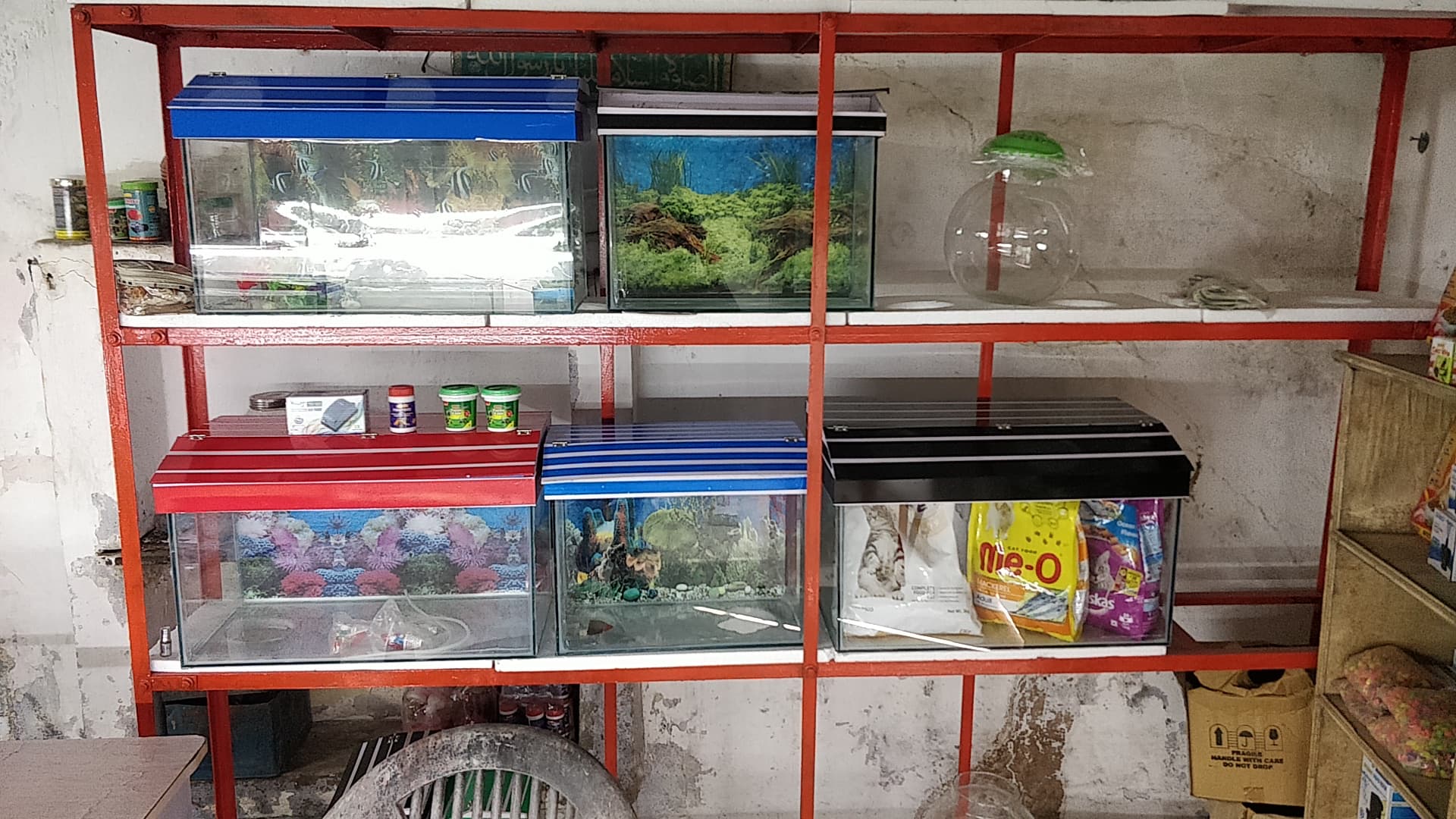 Aquarium Fish and Pets Shop Betta World