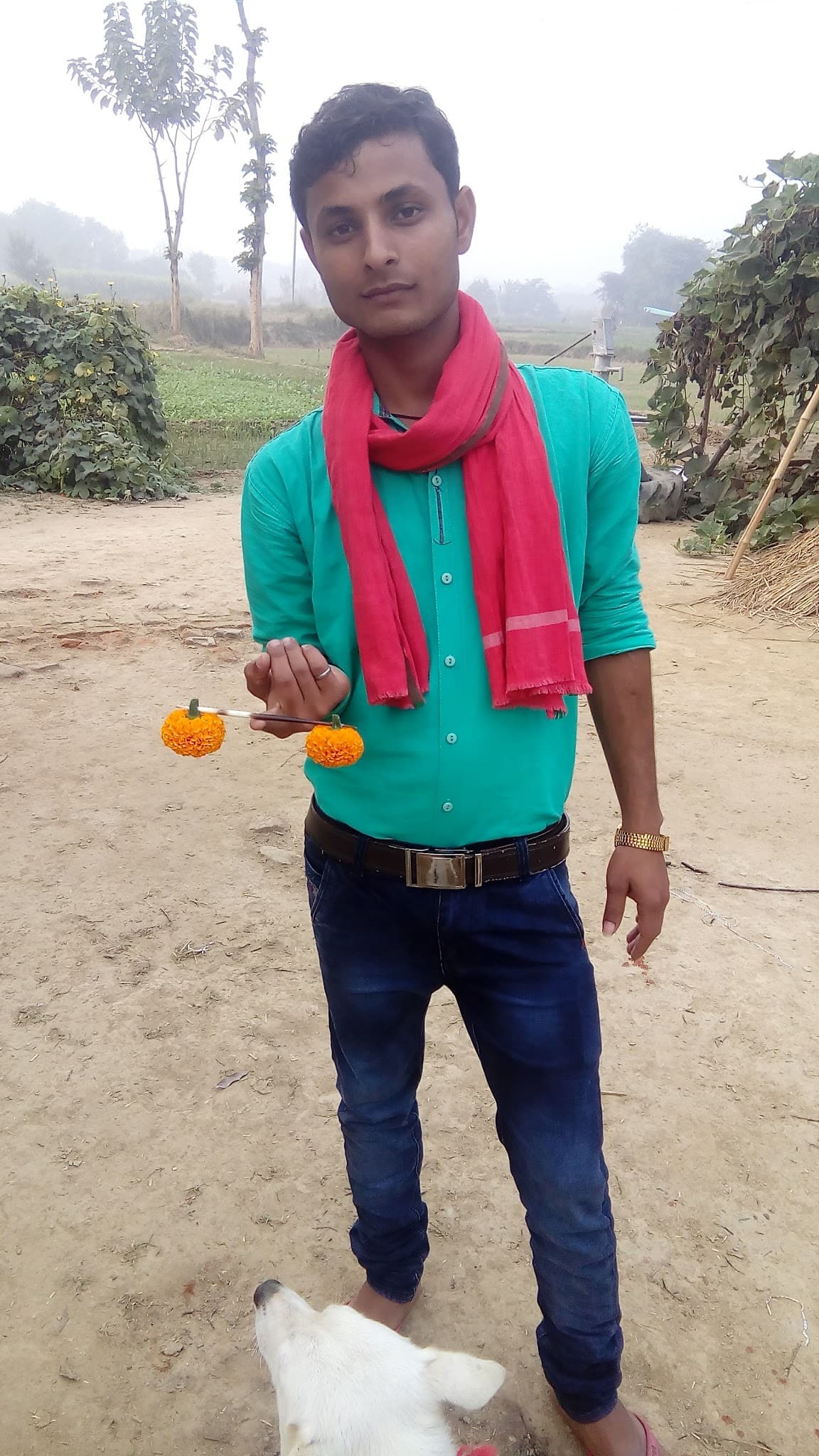 Bank Of Baroda