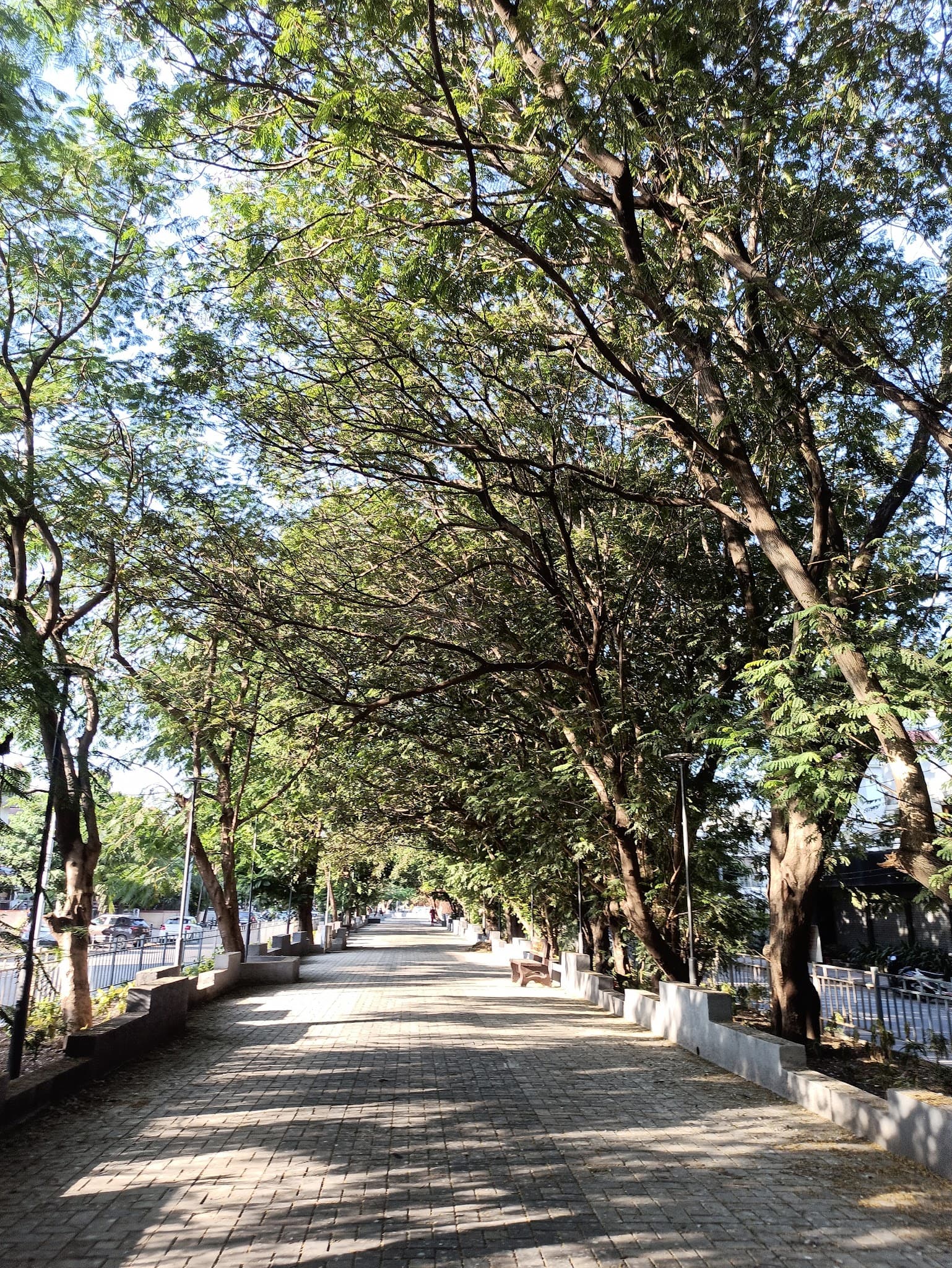 Banyan Greenway