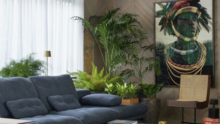 Biosphereflora - INDOOR Plant Maintenance and Services #surat