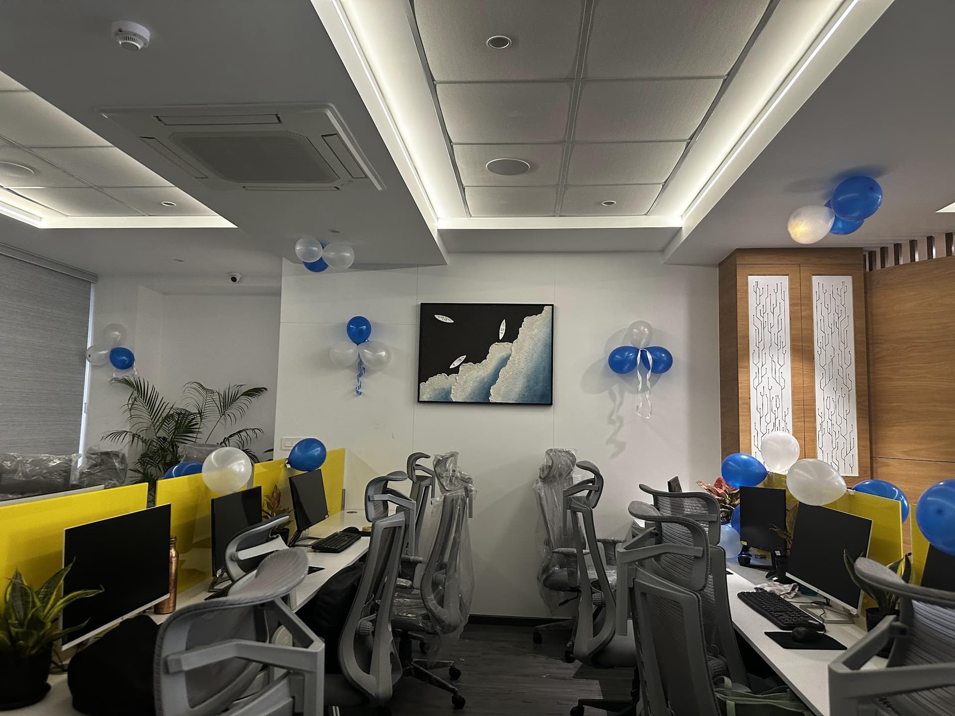 BlueBit Technologies