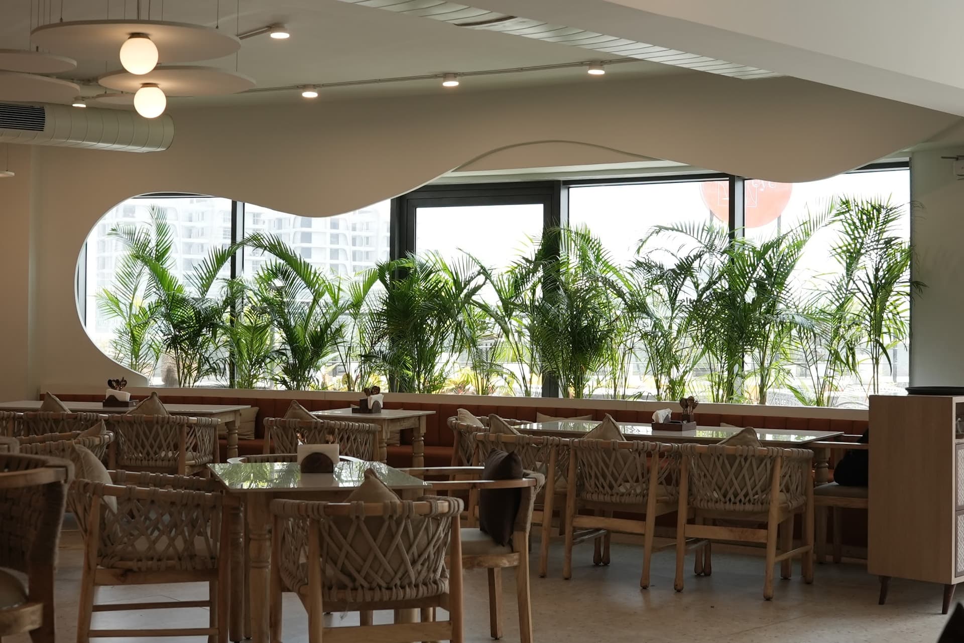 Cafe White eye