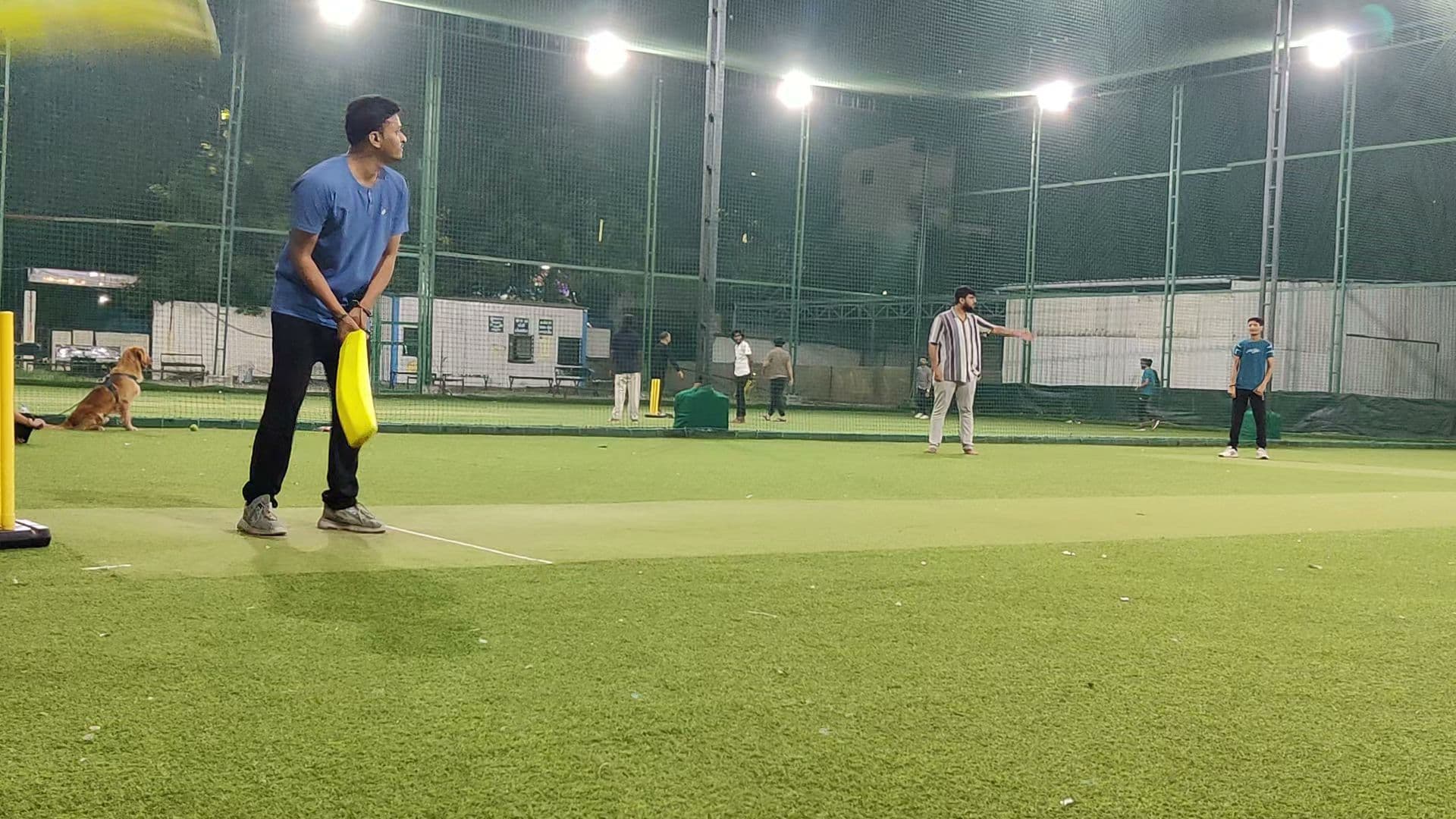 Crazy 11 Box Cricket