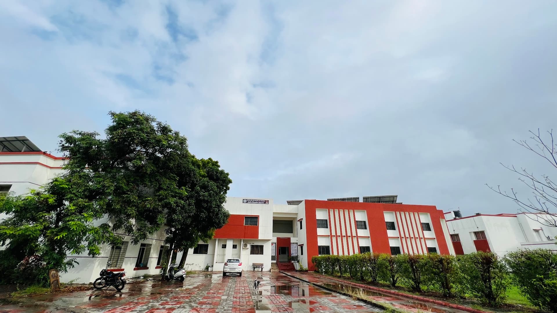 Department Of Law