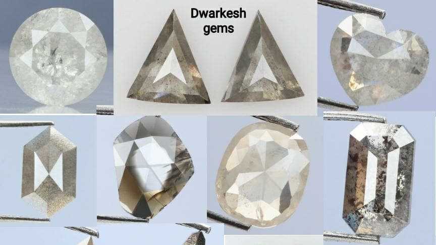 Dwarkesh Gems