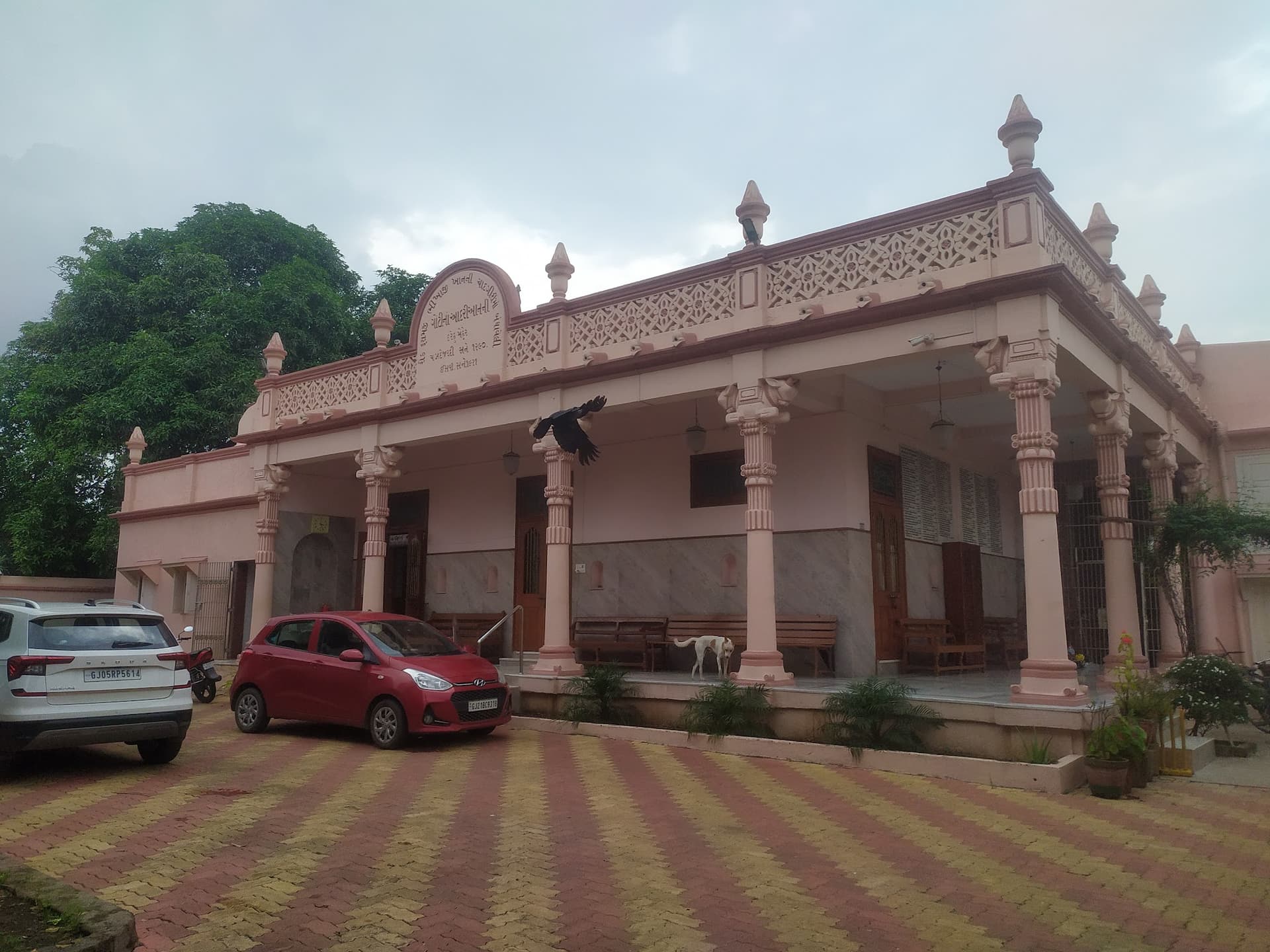 Goti Adarian