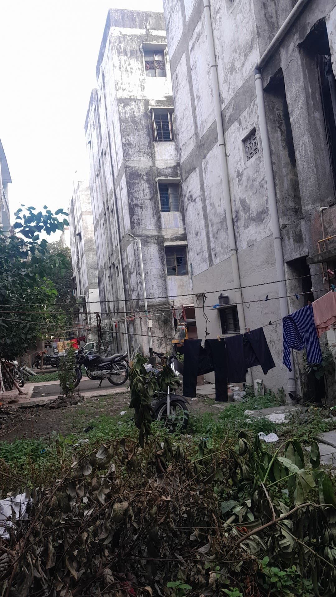 Janta Nagar ni Wadi