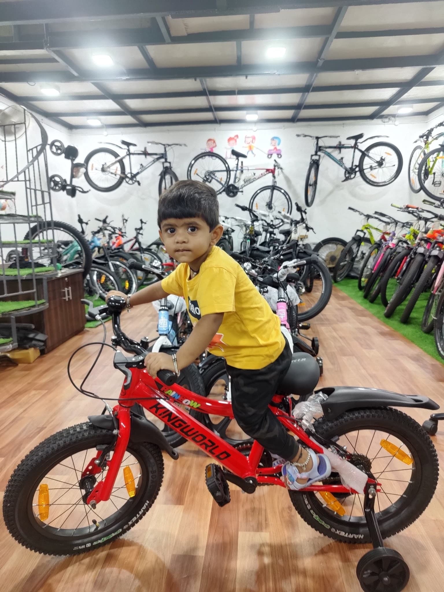 KingWorld Cycle