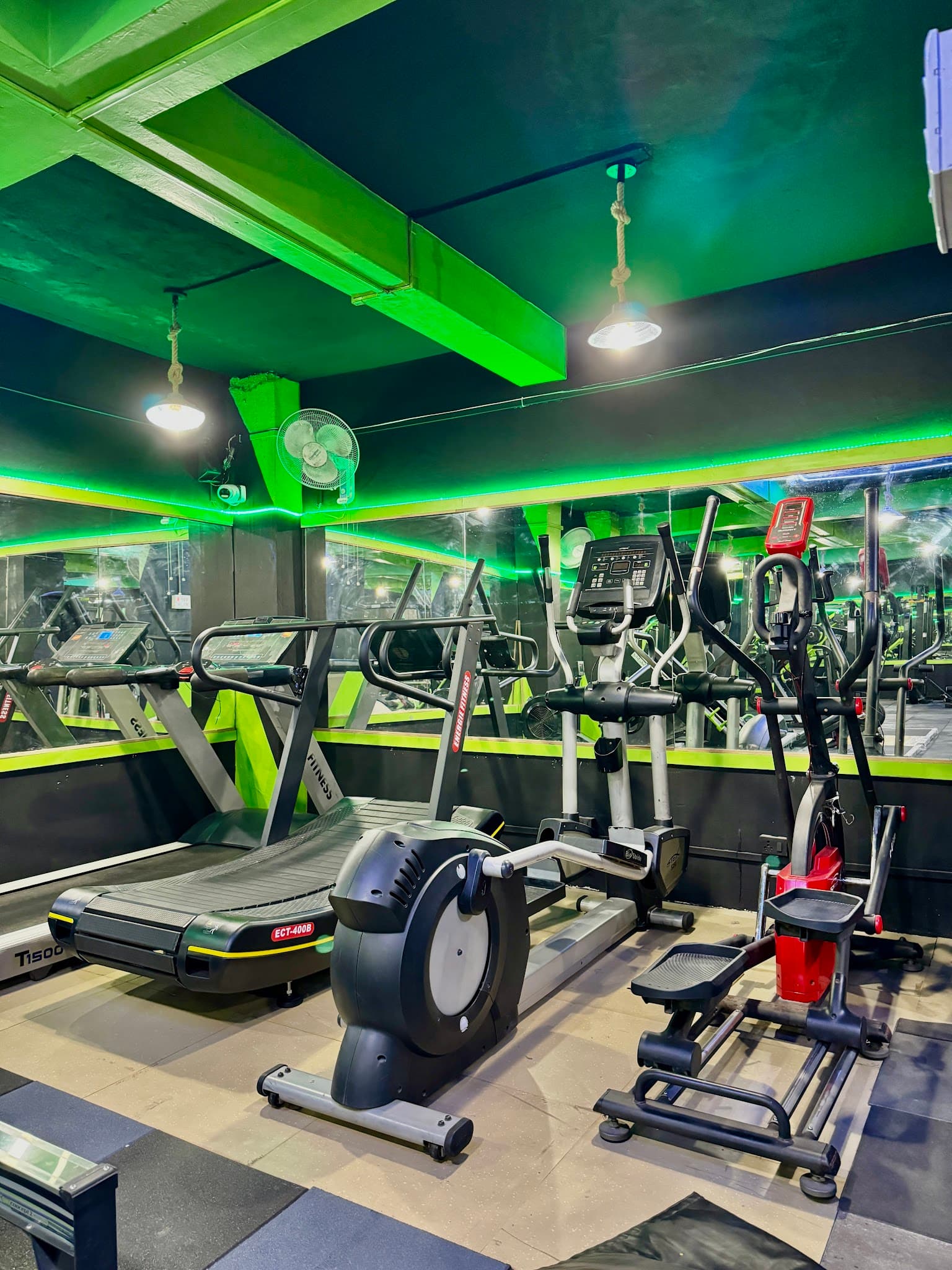 Muscle & Fitness Gym