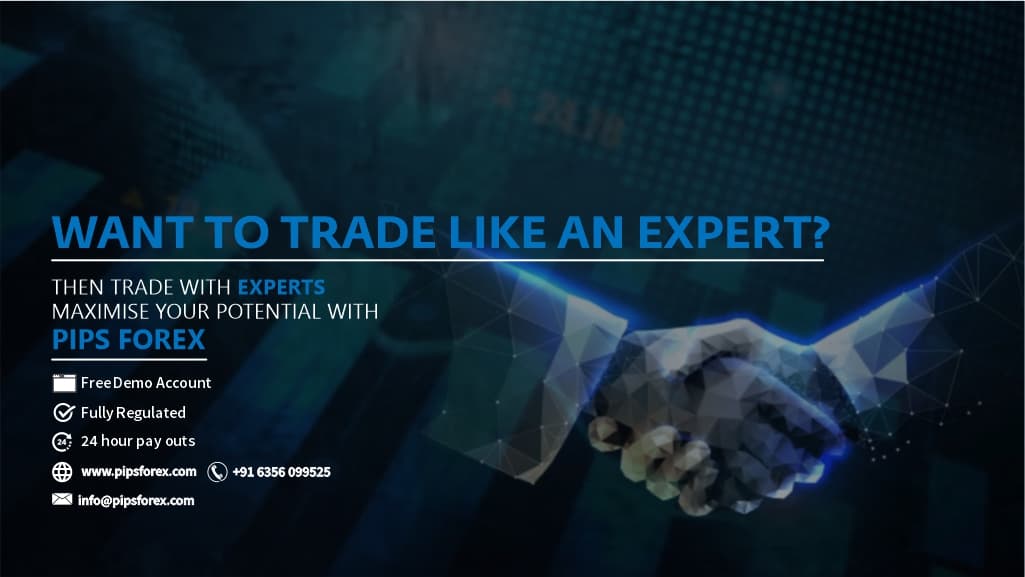 PipsForex Limited