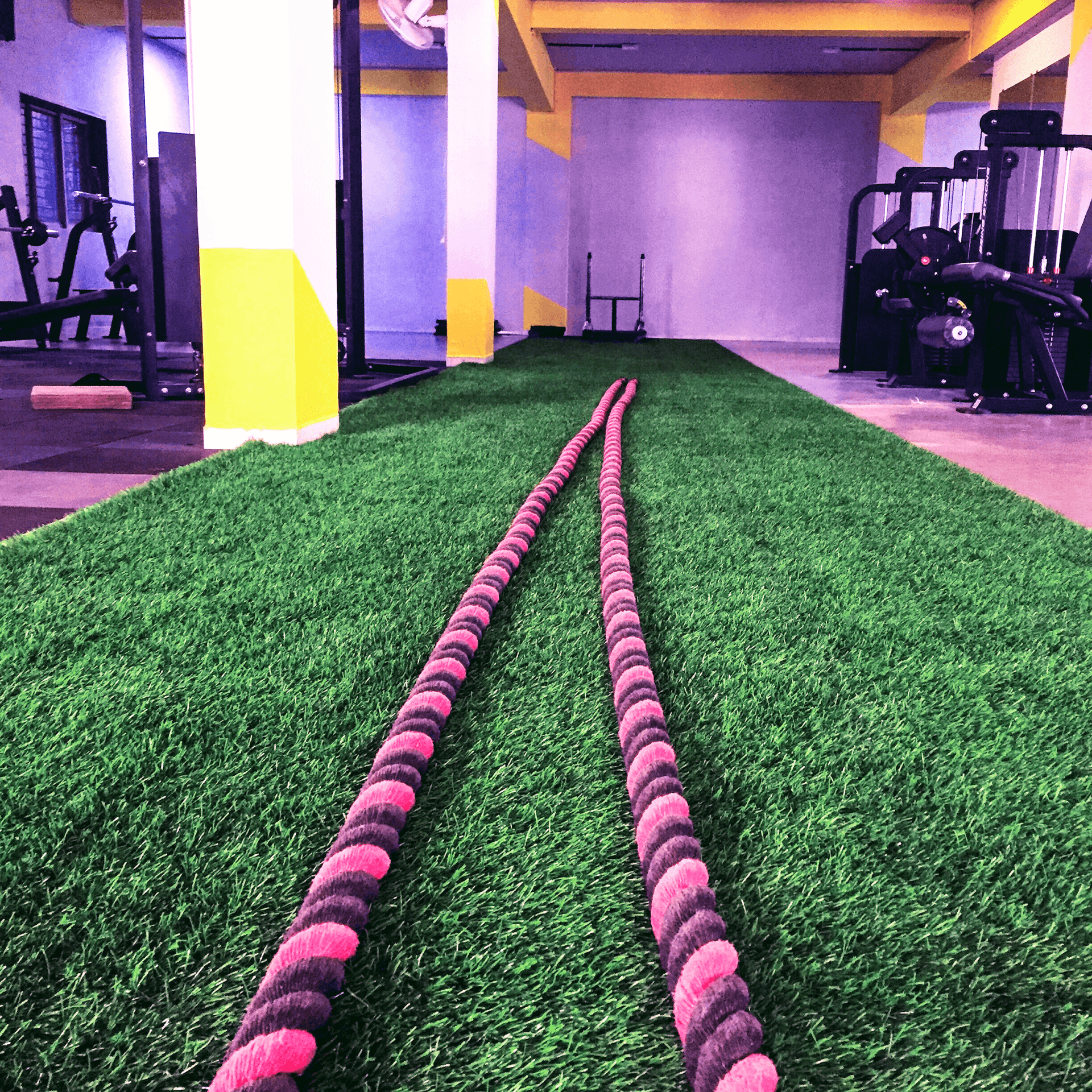 Pro Fitness Gym