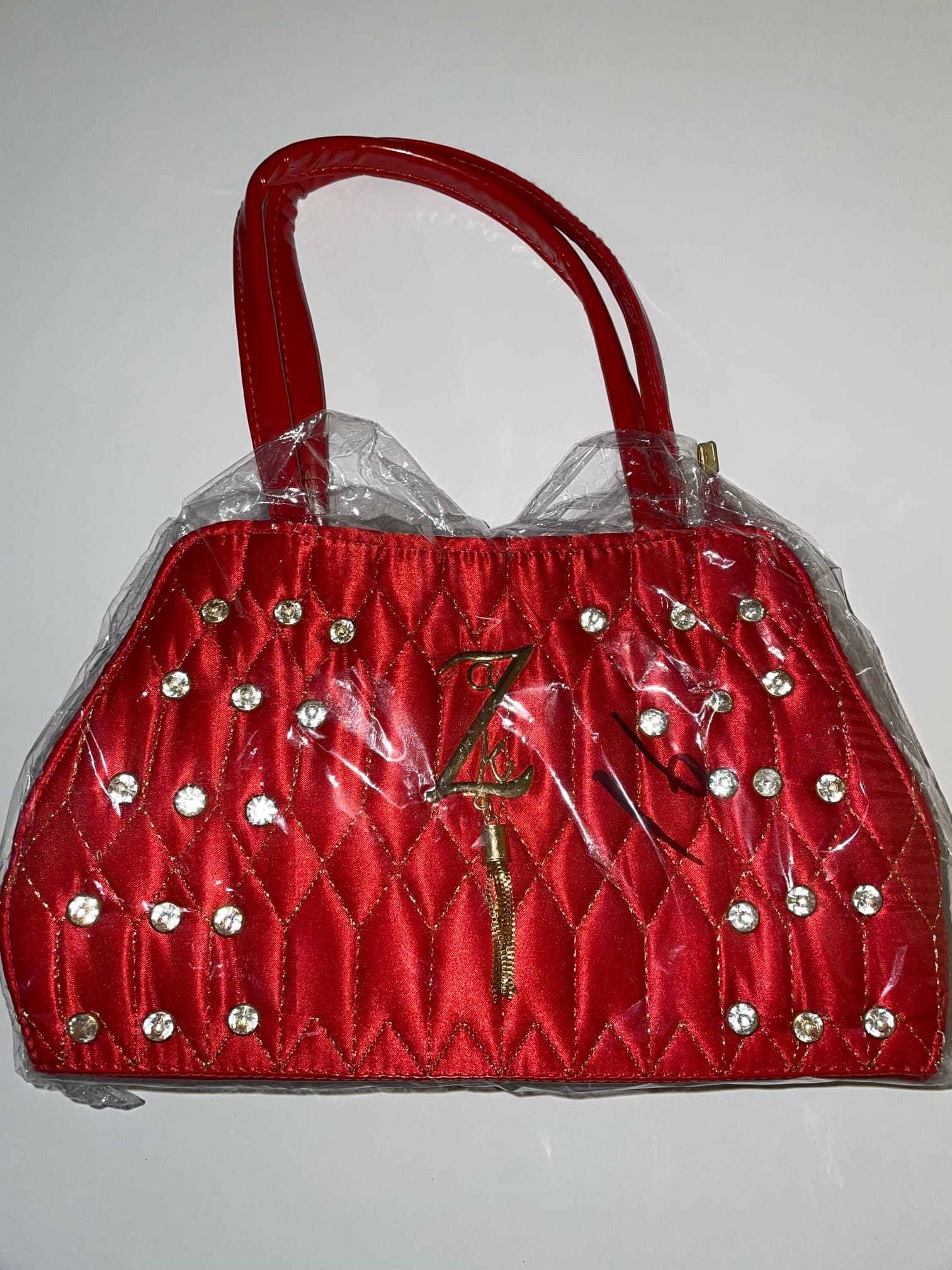 Saanvi Bag Villa