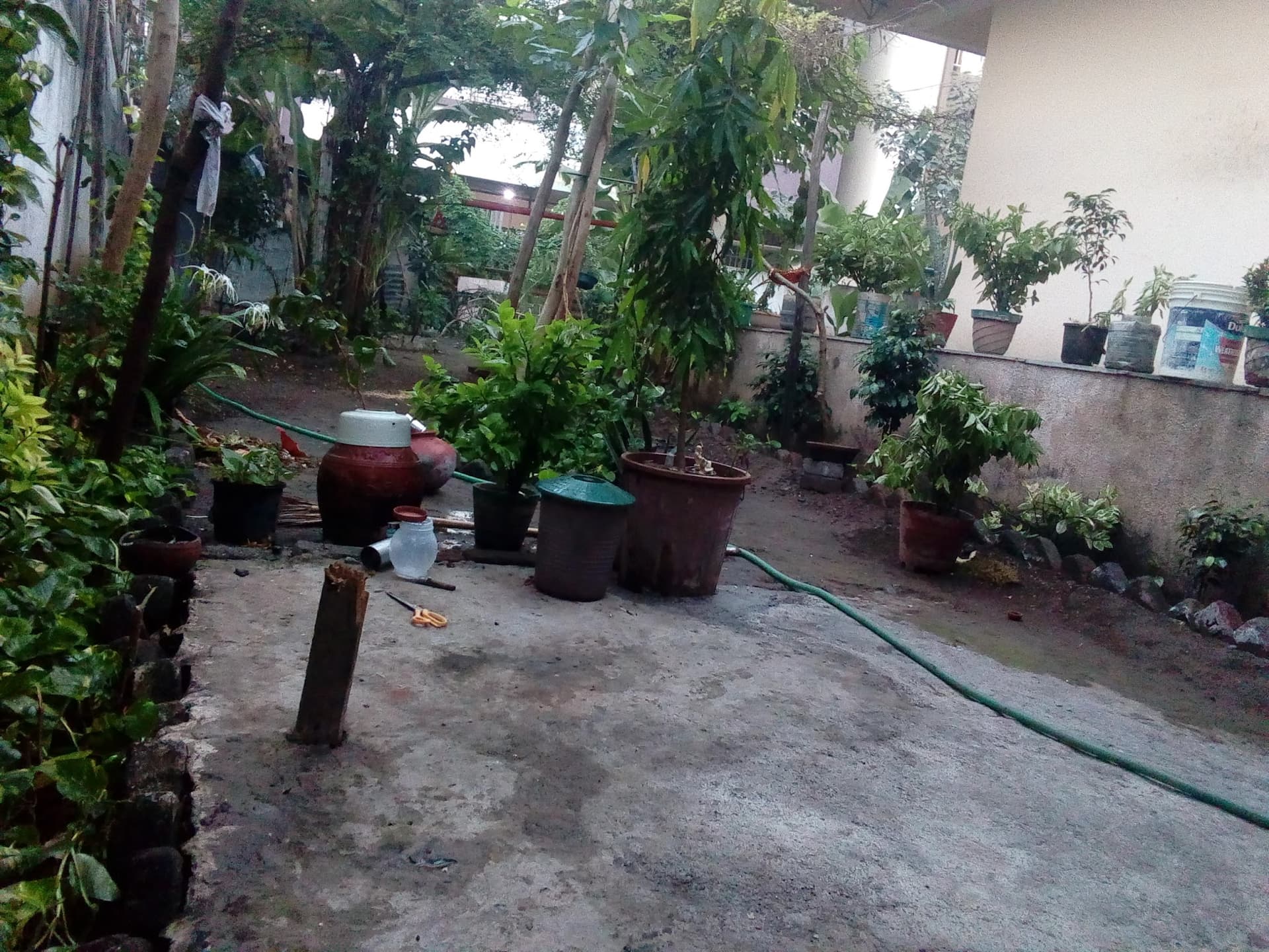 Salasar Balaji Mandir(Aasrm)