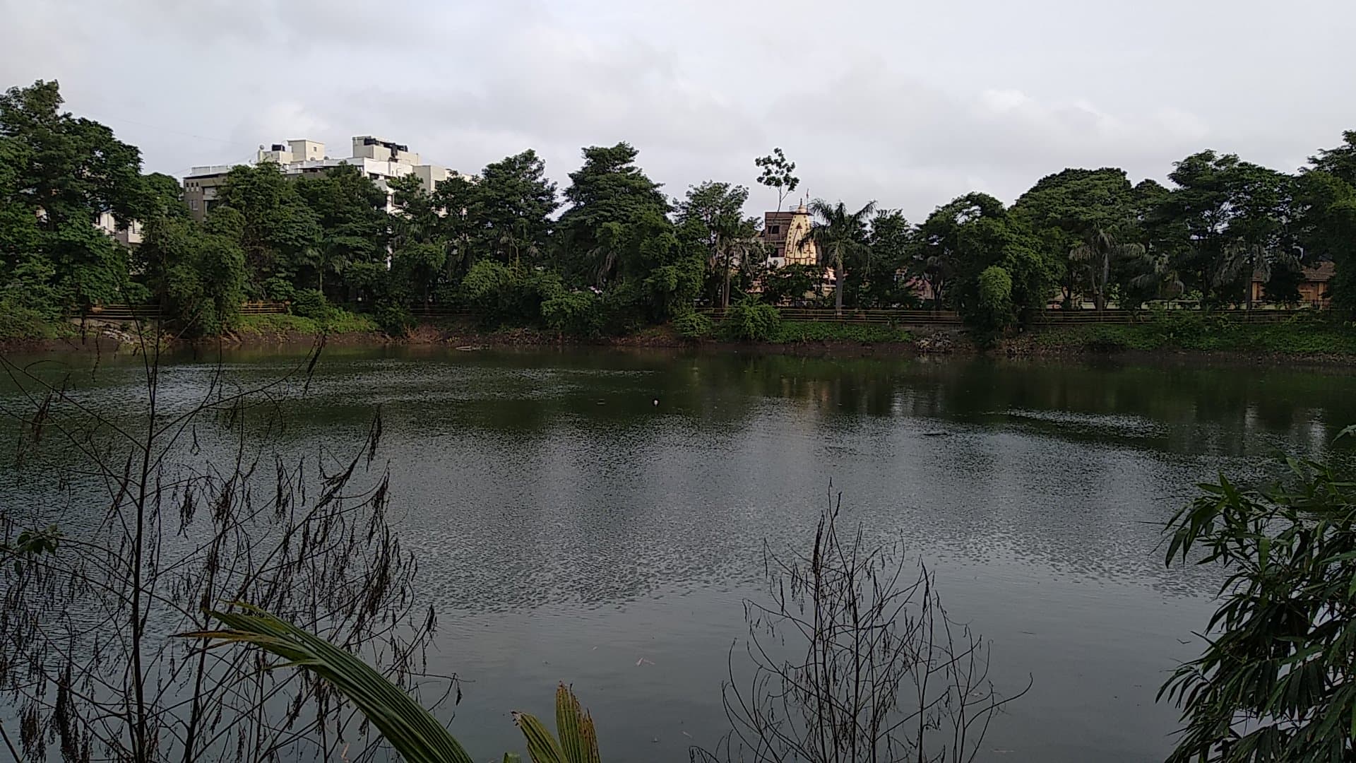 SMC Lake Garden