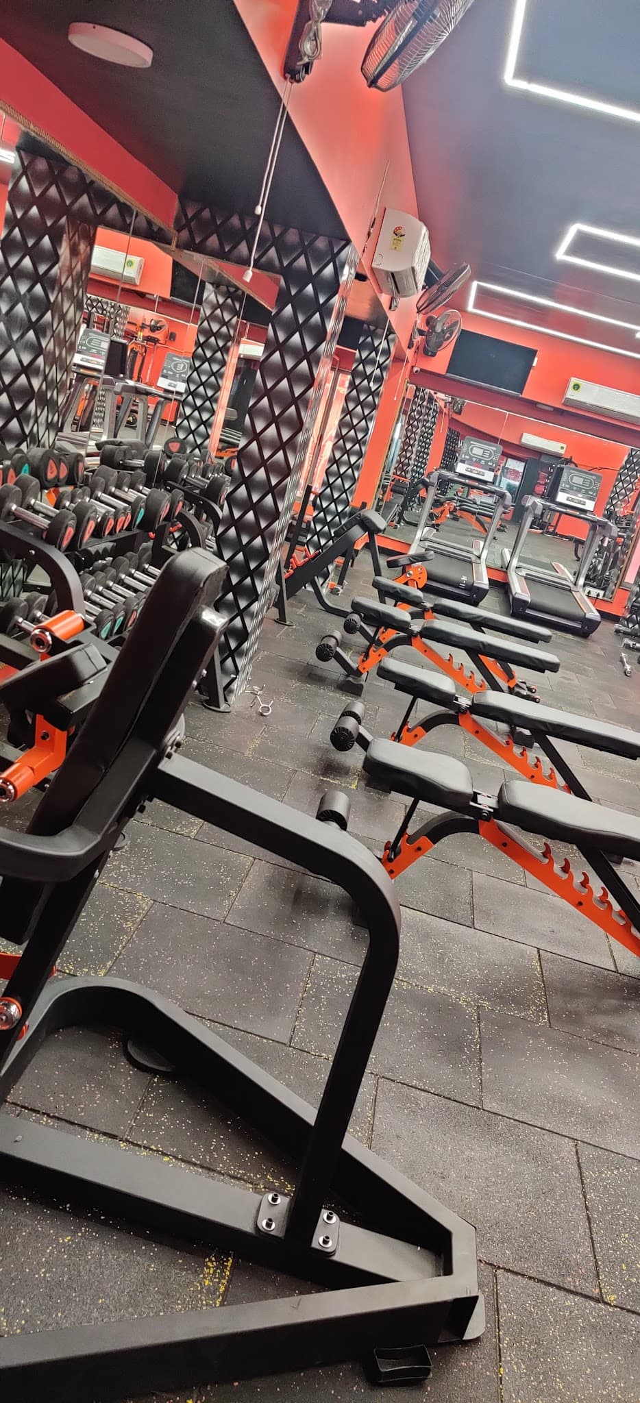 Star Gym & Fitness Club