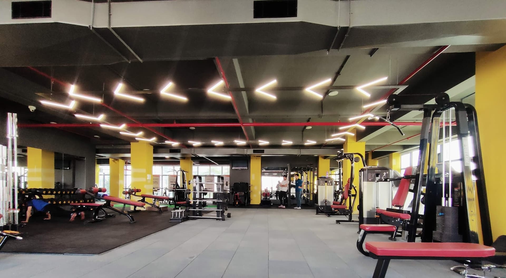 The Alpha Fitness