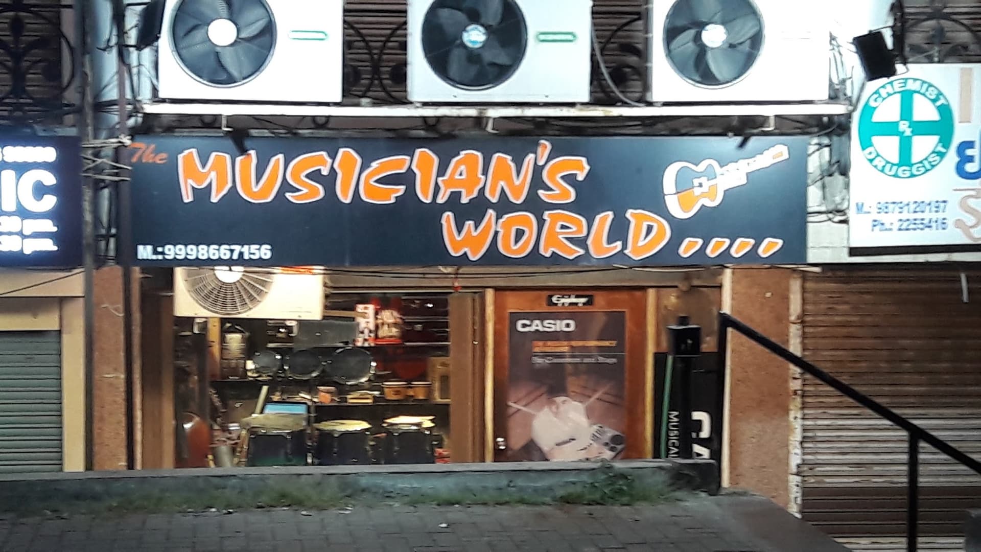 The Musician's World
