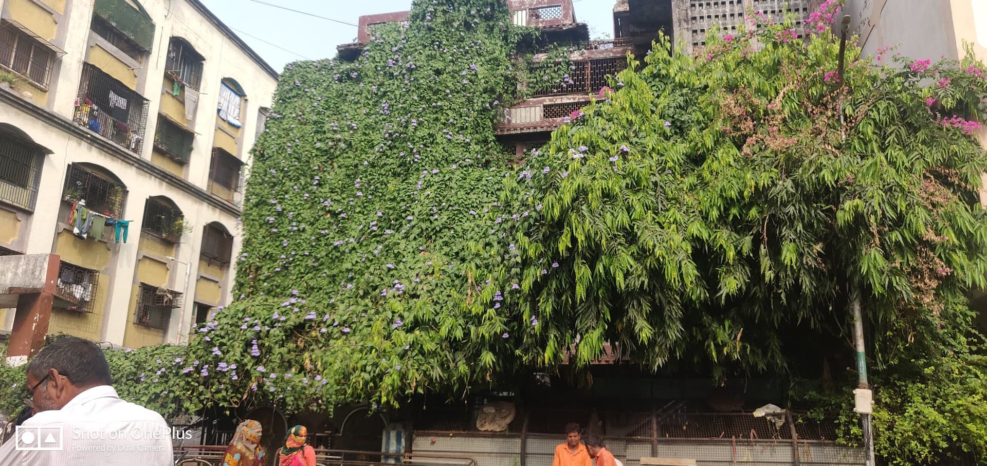 Trikam Nagar Vegetable Market