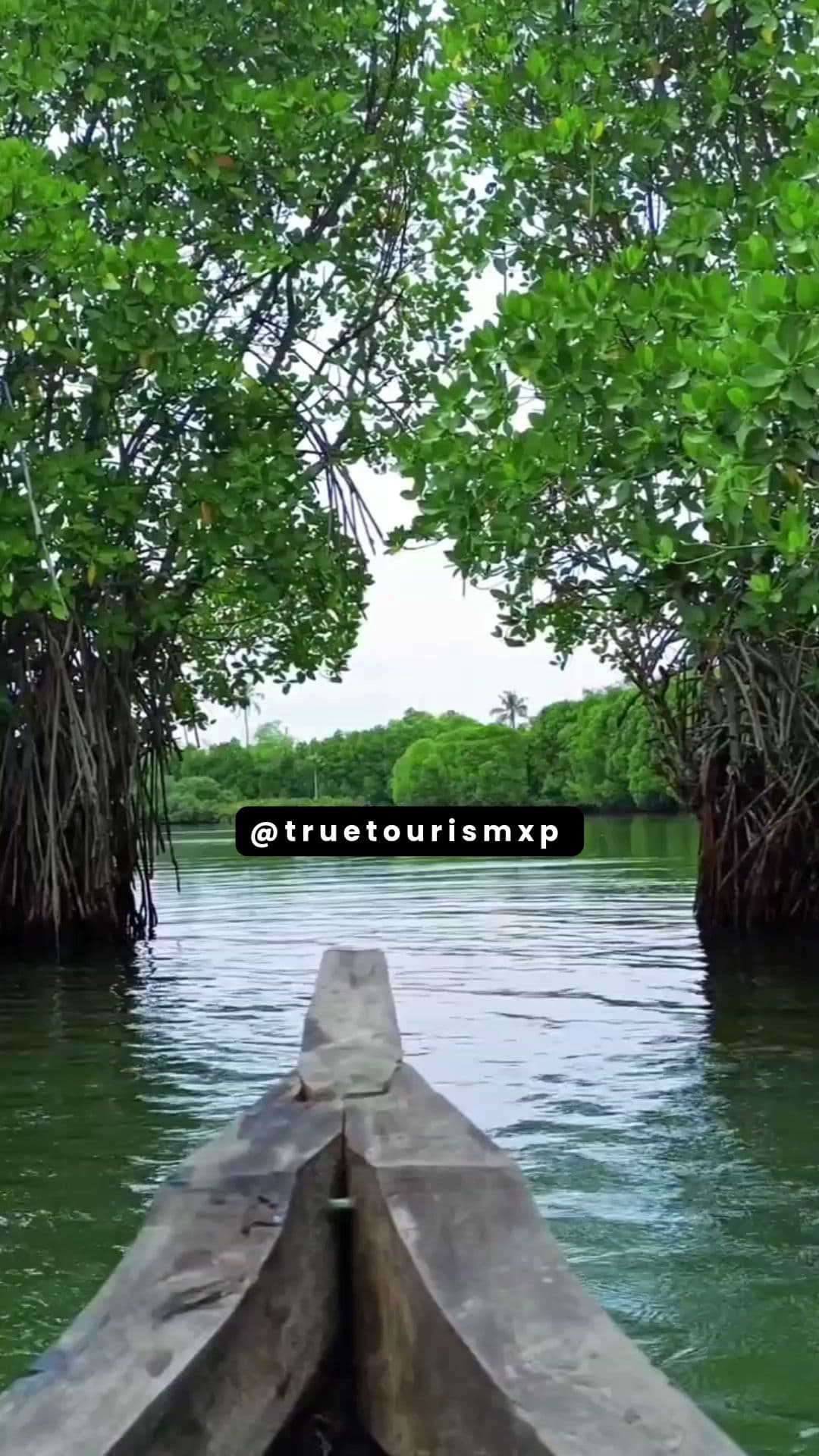 True Tourism