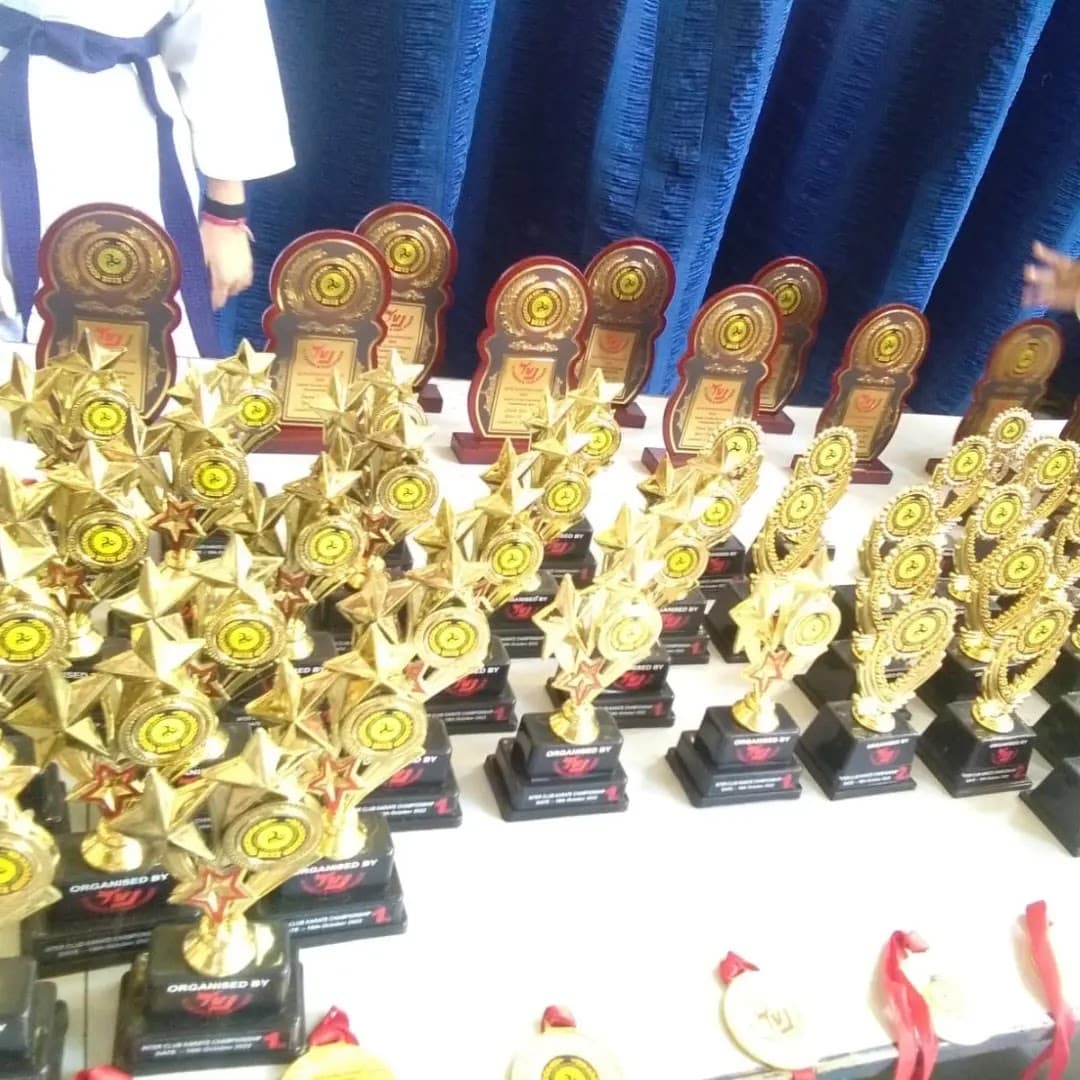 VJ Karate & Yoga Fitness Class