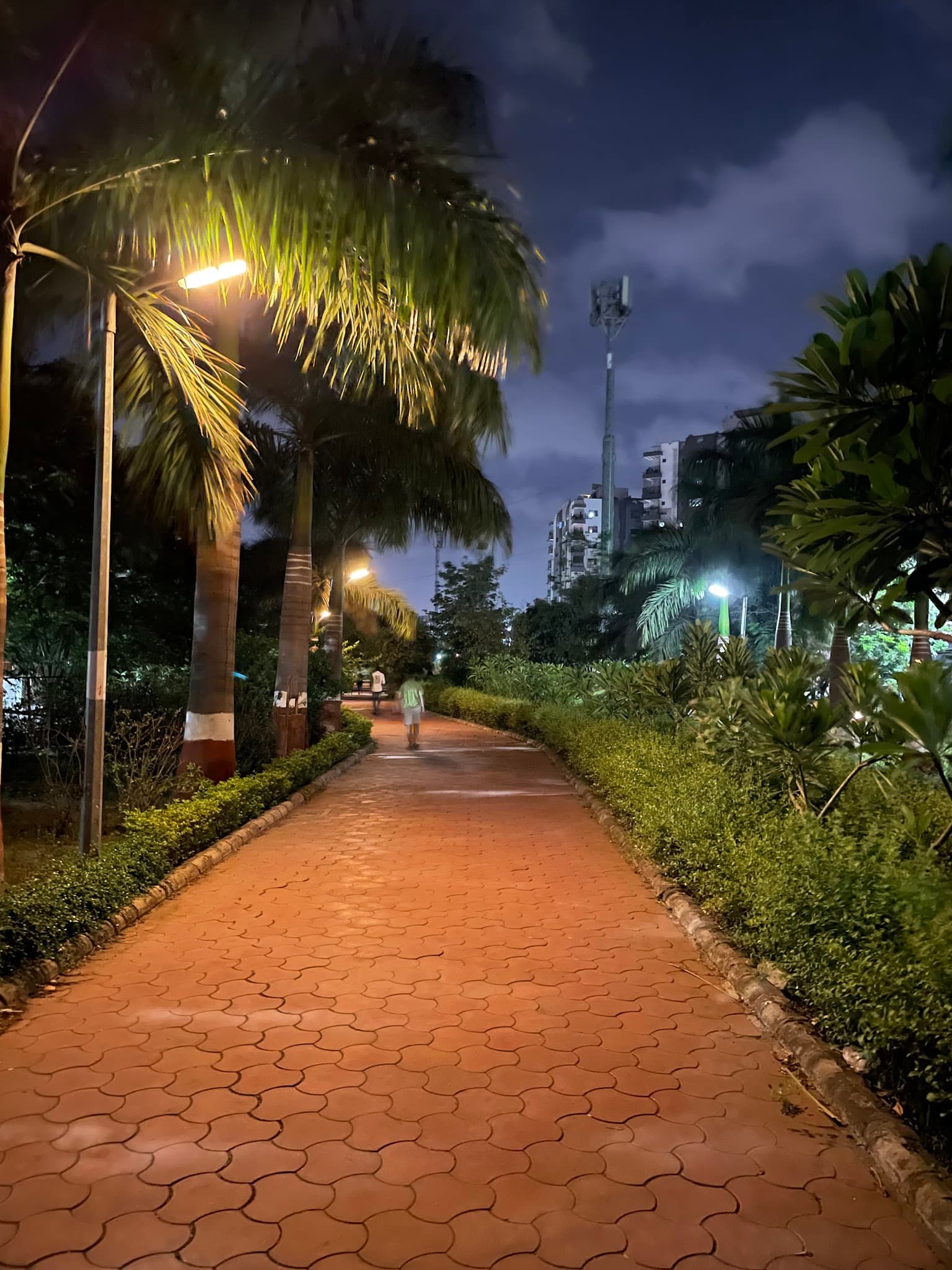 Walk Way Garden