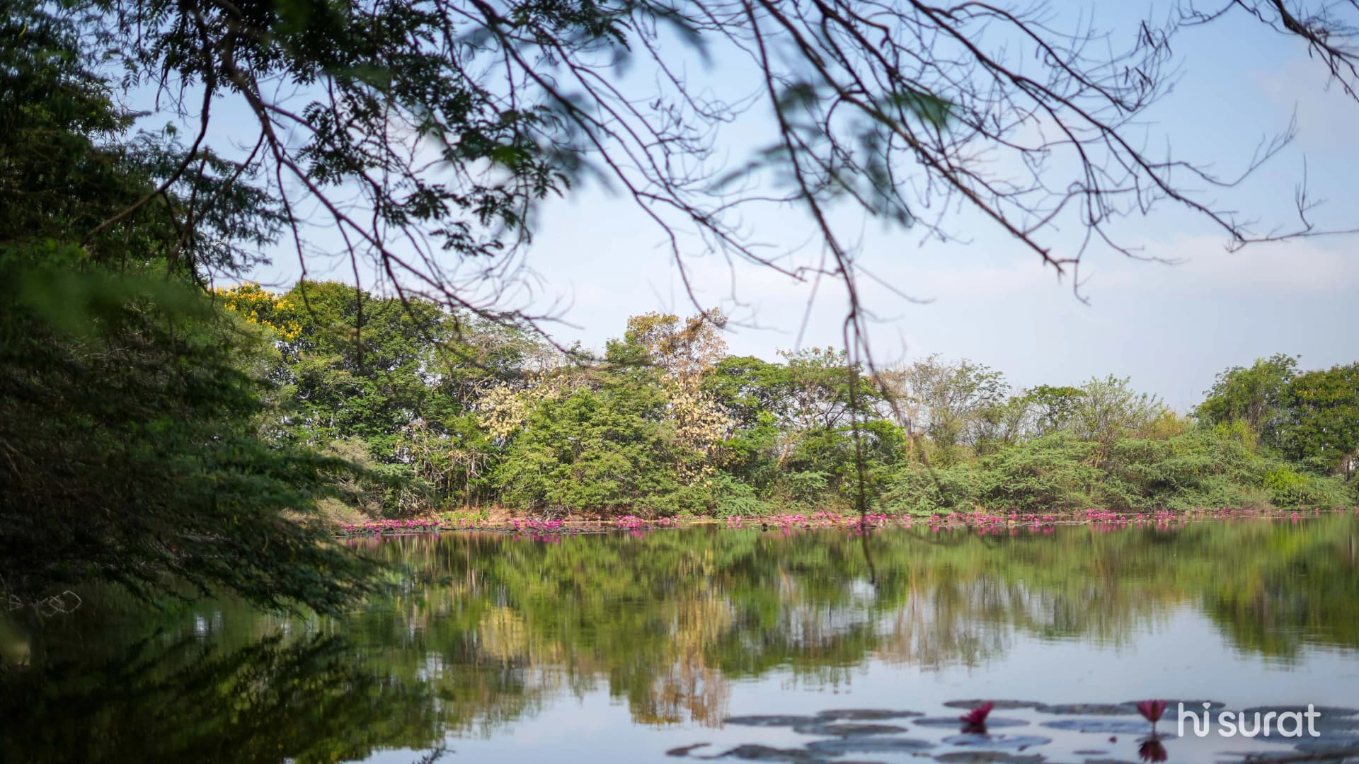 Gavier Lake